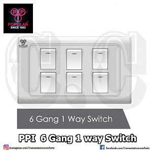 PPI Prime 6 Gang _ 1 Way